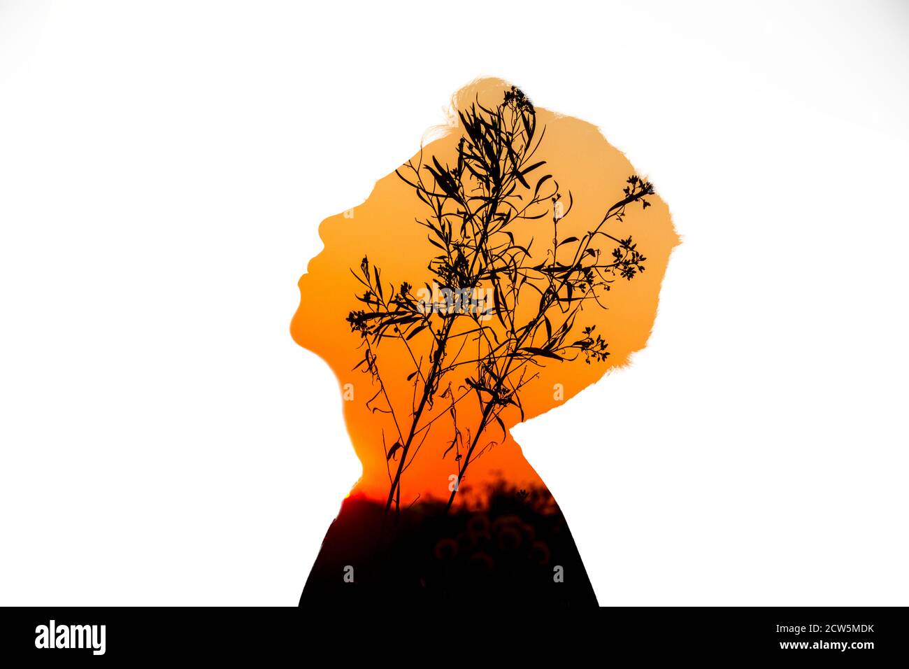 Composito digitale a esposizione multipla con una silhouette di una persona in profilo e un tramonto con una silhouette di un albero. Foto Stock