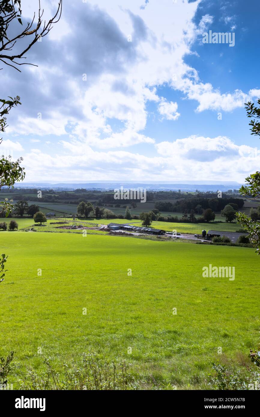 Un ampio campo aperto che offre vedute panoramiche della campagna e un bel cielo Foto Stock