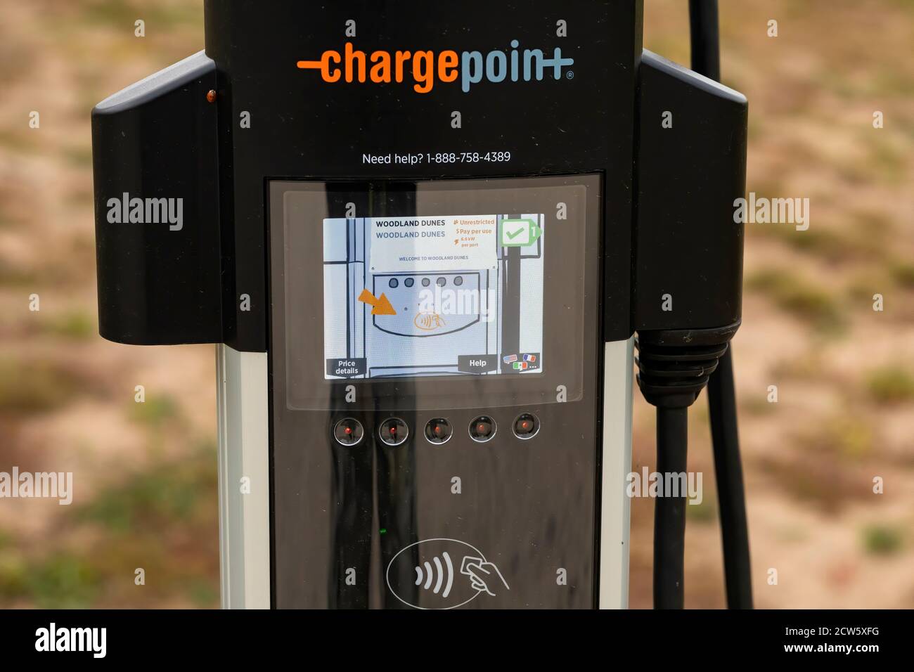 Punto di ricarica CT4021, stazione di carica EV - Bollard a due porte Montare in un'area protetta dello stato Foto Stock