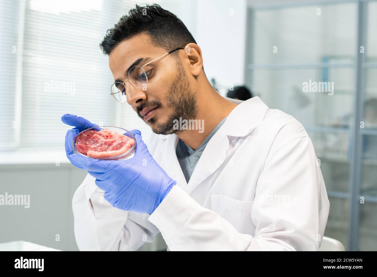 Giovane ricercatore scientifico gustato in whitecoat guardando la carne dentro piastra petri Foto Stock