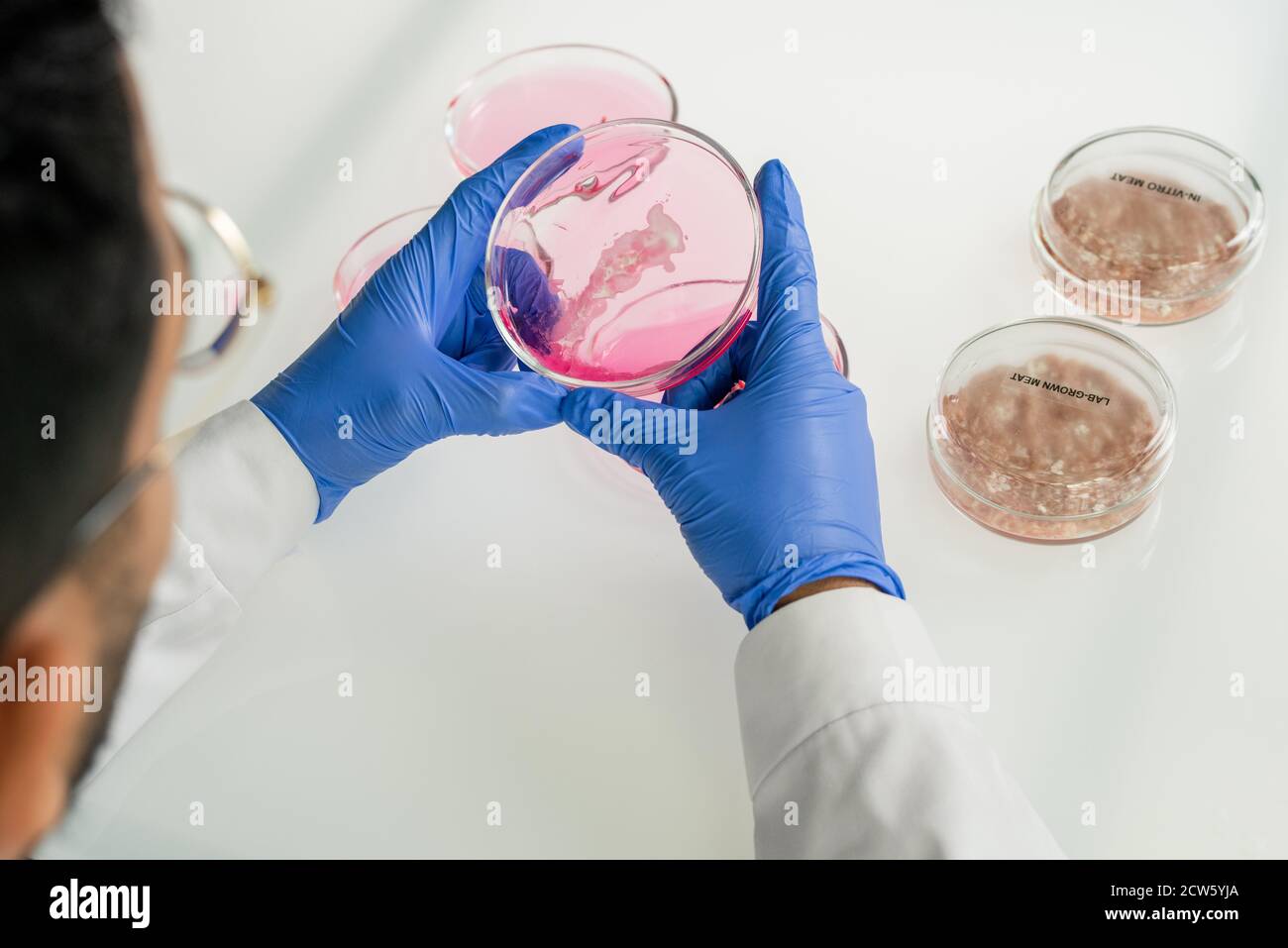 Mani gugorate del ricercatore maschile che tiene piatto di Petri con rosa sostanza liquida Foto Stock