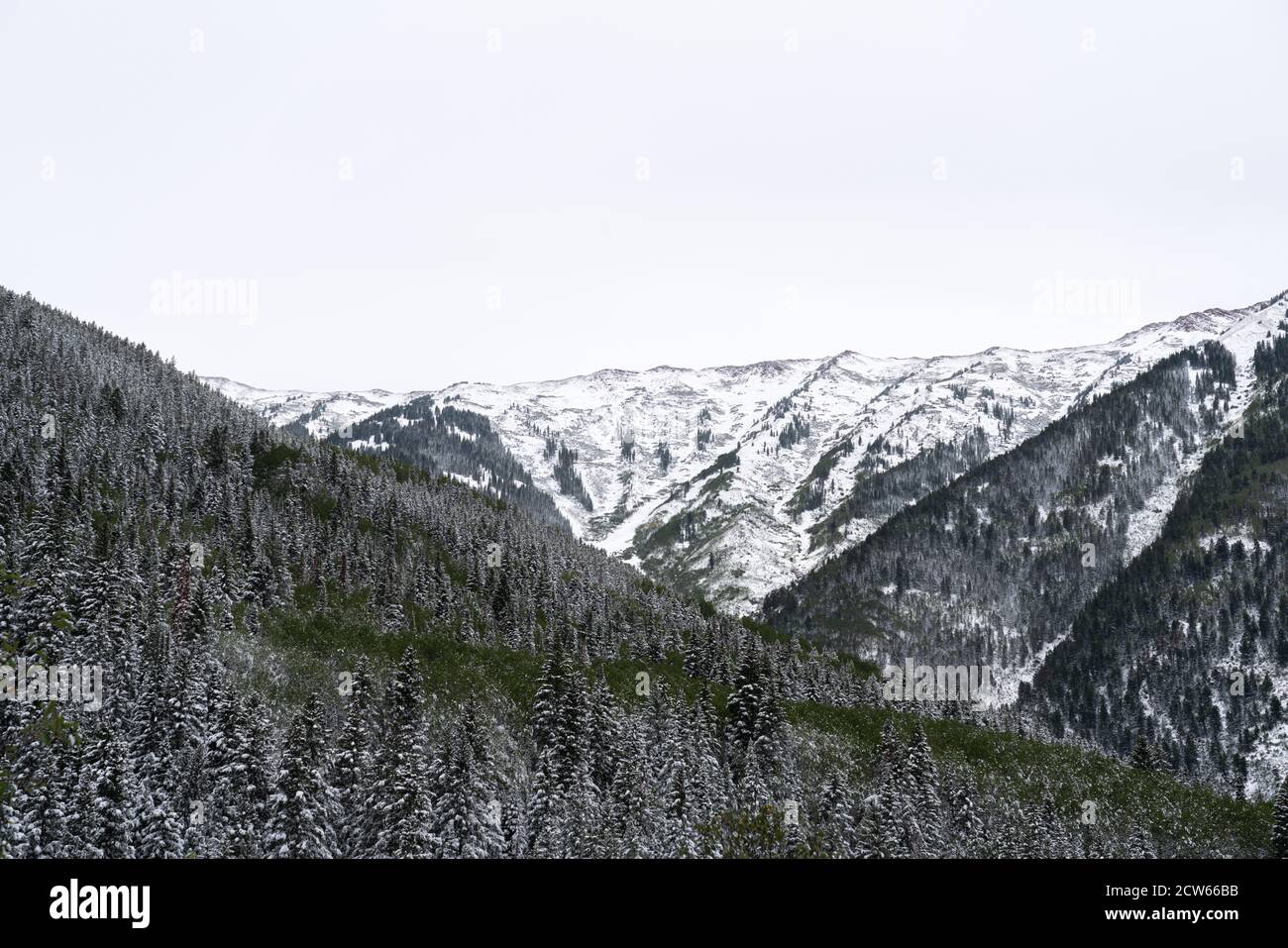 La catena montuosa dell'Elk fuori Aspen, Colorado, la mattina dopo una tempesta di neve estiva. Foto Stock