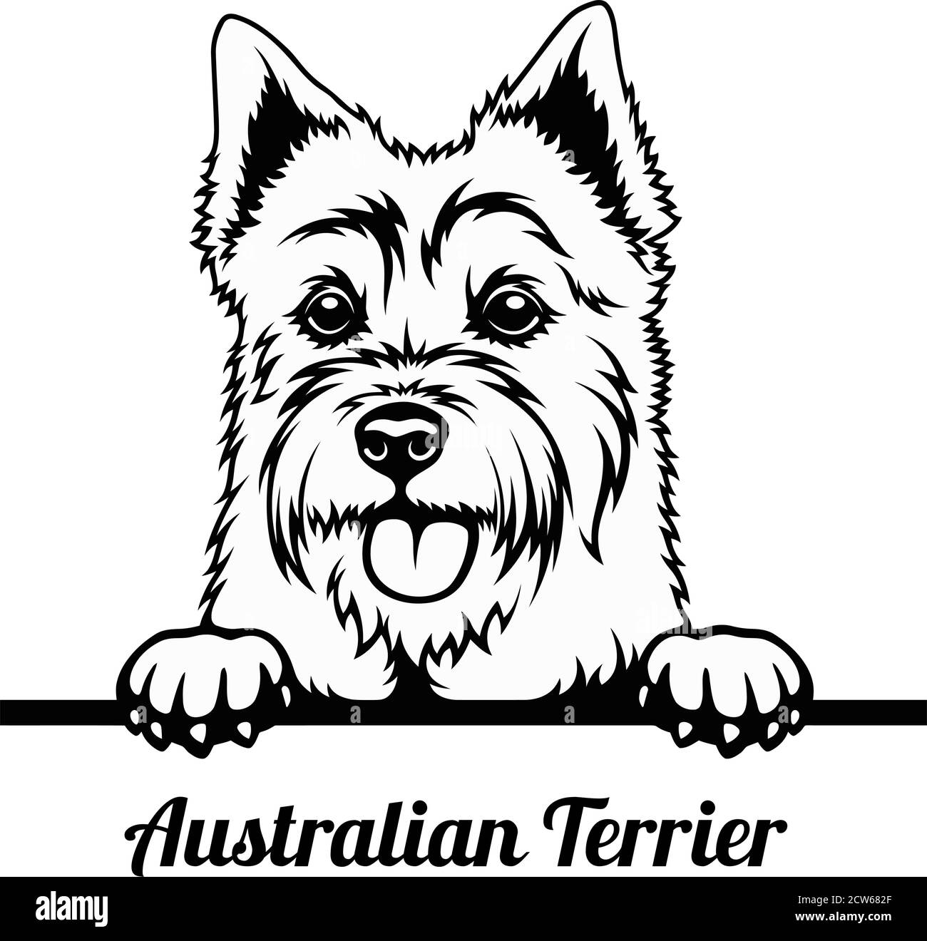 Cane da peeking - razza australiana di Terrier - testa isolata sopra bianco Illustrazione Vettoriale