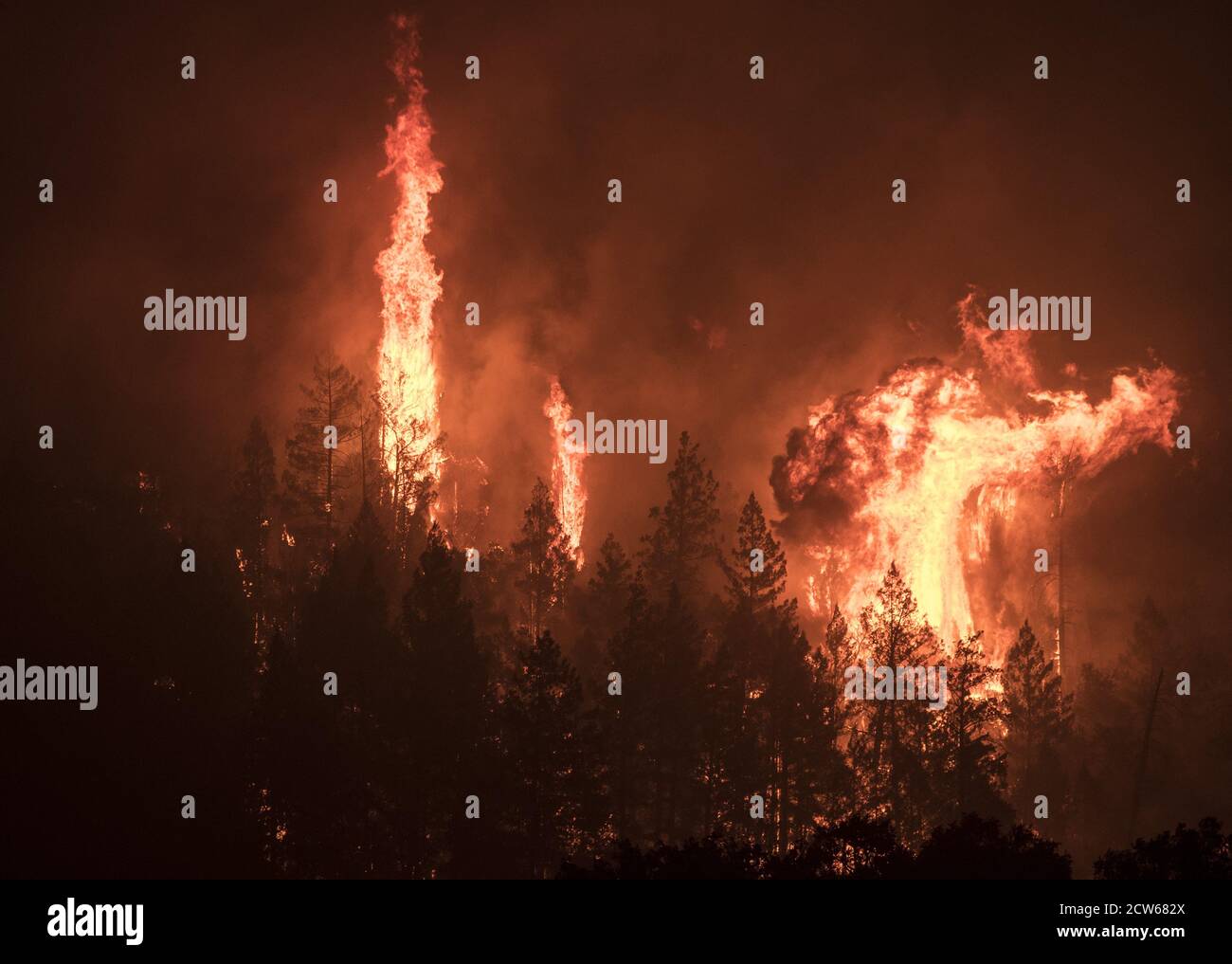 St. Helena, Stati Uniti. 28 Settembre 2020. Alberi candela nel fuoco di vetro nella contea di Napa, California Domenica, 27 settembre 2020. L’incendio in rapida crescita non ha alcun contenimento e minaccia migliaia di case. Photo by Terry Schmitt/UPI Credit: UPI/Alamy Live News Foto Stock