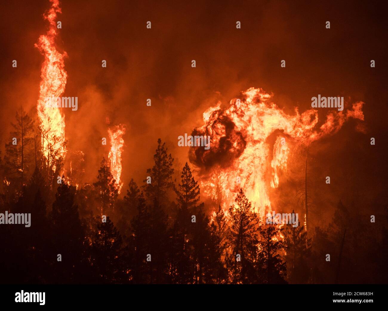 St. Helena, Stati Uniti. 28 Settembre 2020. Alberi candela nel fuoco di vetro nella contea di Napa, California Domenica, 27 settembre 2020. L’incendio in rapida crescita non ha alcun contenimento e minaccia migliaia di case. Photo by Terry Schmitt/UPI Credit: UPI/Alamy Live News Foto Stock