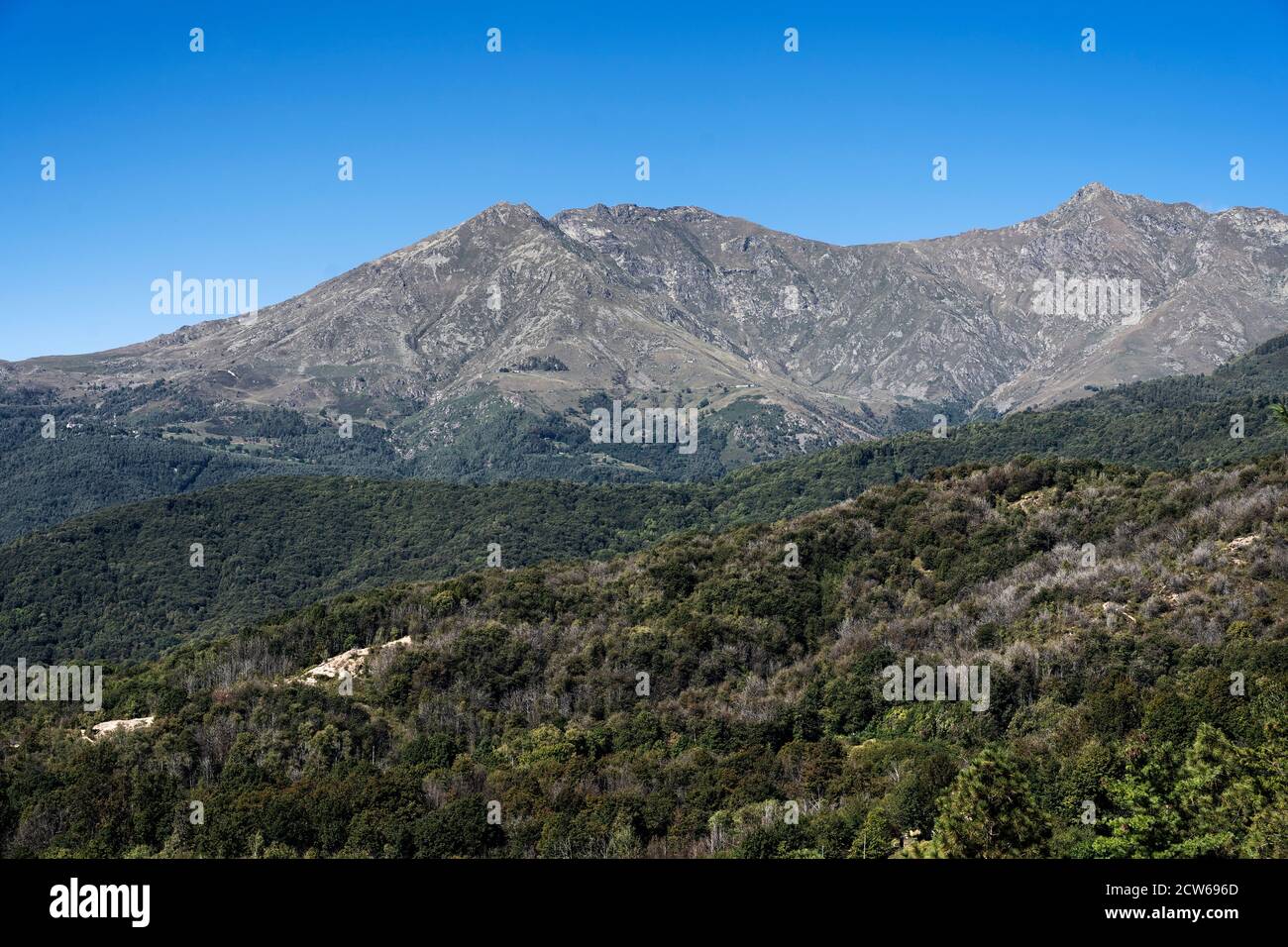 Riserva Naturale Monti Pelati, area protetta del Canavese nei pressi di Torino Foto Stock