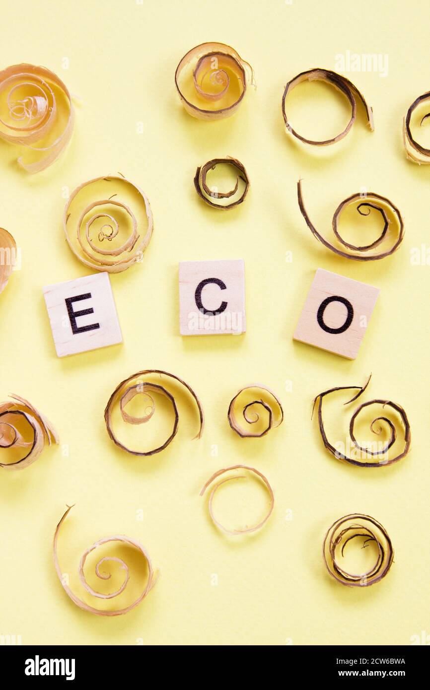 Trucioli arricciati e parola eco sul giallo. Giocattoli ecologici. Salvare le foreste, concetto di consapevolezza. Investimenti rispettosi dell'ambiente. Segatura di legno in Foto Stock