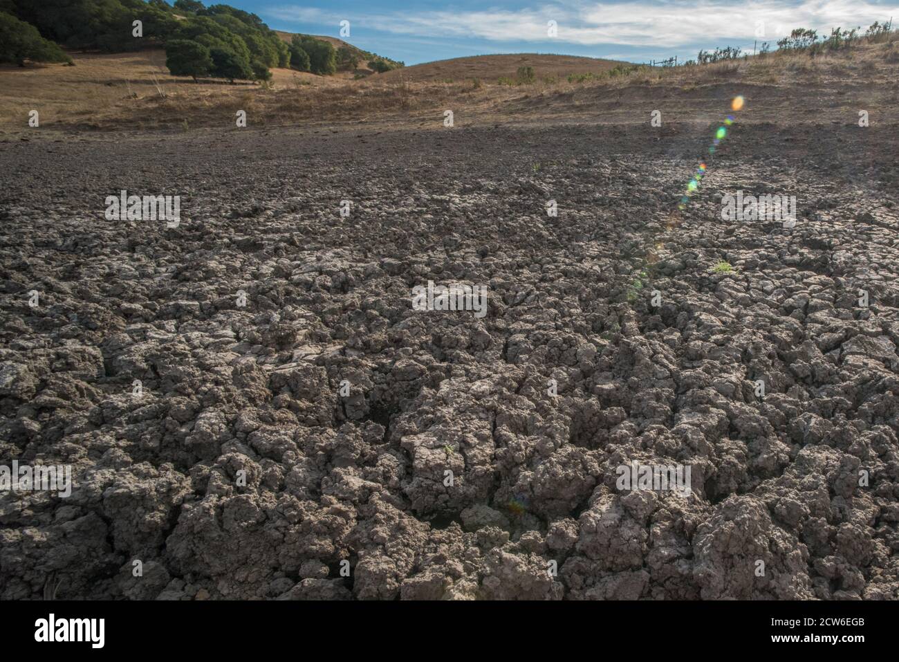 Un laghetto di bestiame essiccato nelle colline della East Bay nella California settentrionale, le piogge sono diventate meno regolari e l'acqua si è asciugata lasciando solo il fango indurito. Foto Stock