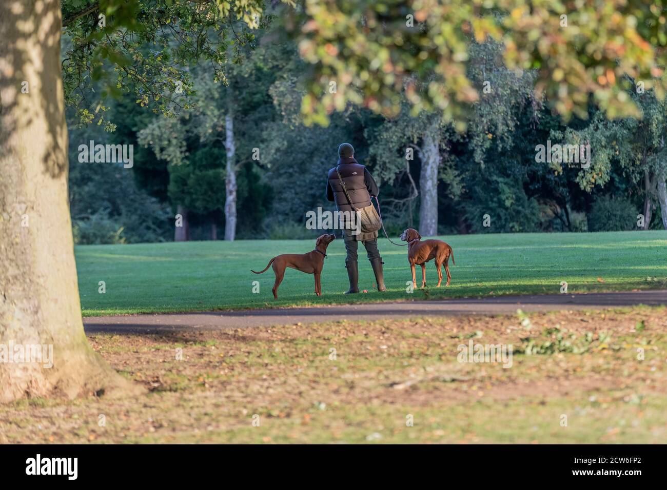 Northampton, Regno Unito, 28 settembre 2020. Cani e proprietari che si allenano la mattina presto e camminano ad Abington Park in una giornata luminosa e soleggiata ma fredda. Credit: Keith J Smith./Alamy Live News Foto Stock