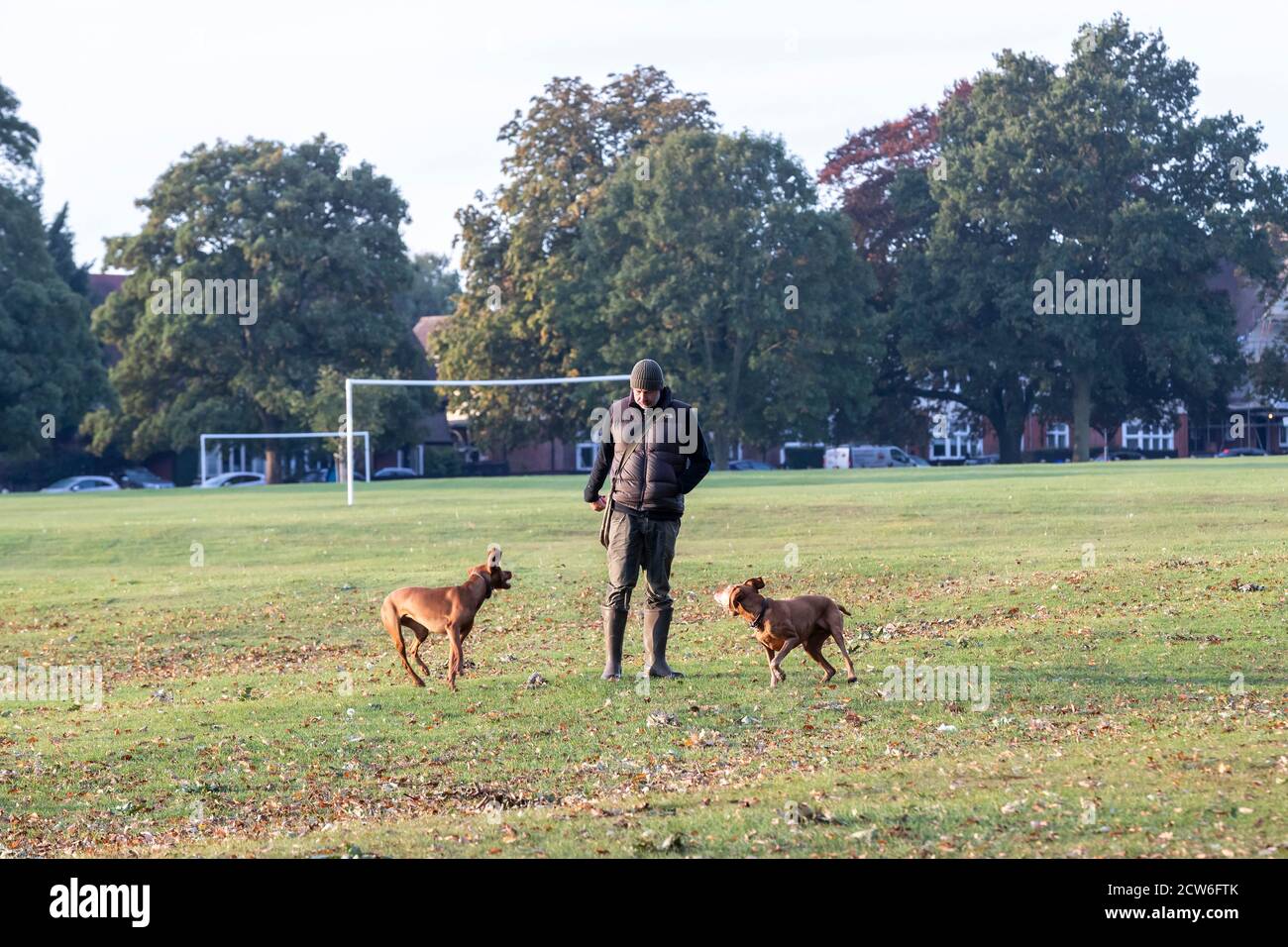 Northampton, Regno Unito, 28 settembre 2020. Cani e proprietari che si allenano la mattina presto e camminano ad Abington Park in una giornata luminosa e soleggiata ma fredda. Credit: Keith J Smith./Alamy Live News Foto Stock