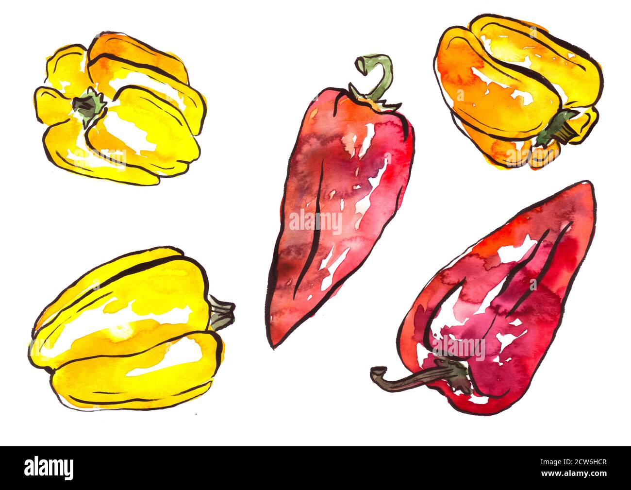 Set di peperoni paprika dipingere con acquerelli su sfondo bianco. Illustrazione di verdure Foto Stock