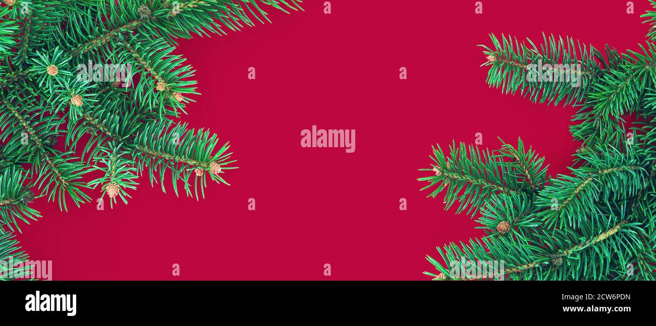 Banner natalizio con bordo di rami di abete verde su rosso sfondo Foto Stock