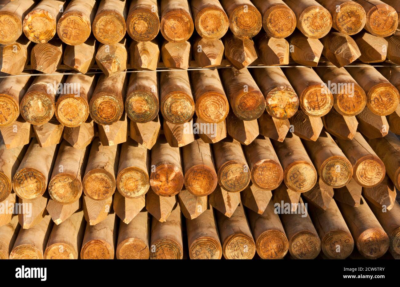 Un pacco di pali di legno Foto Stock