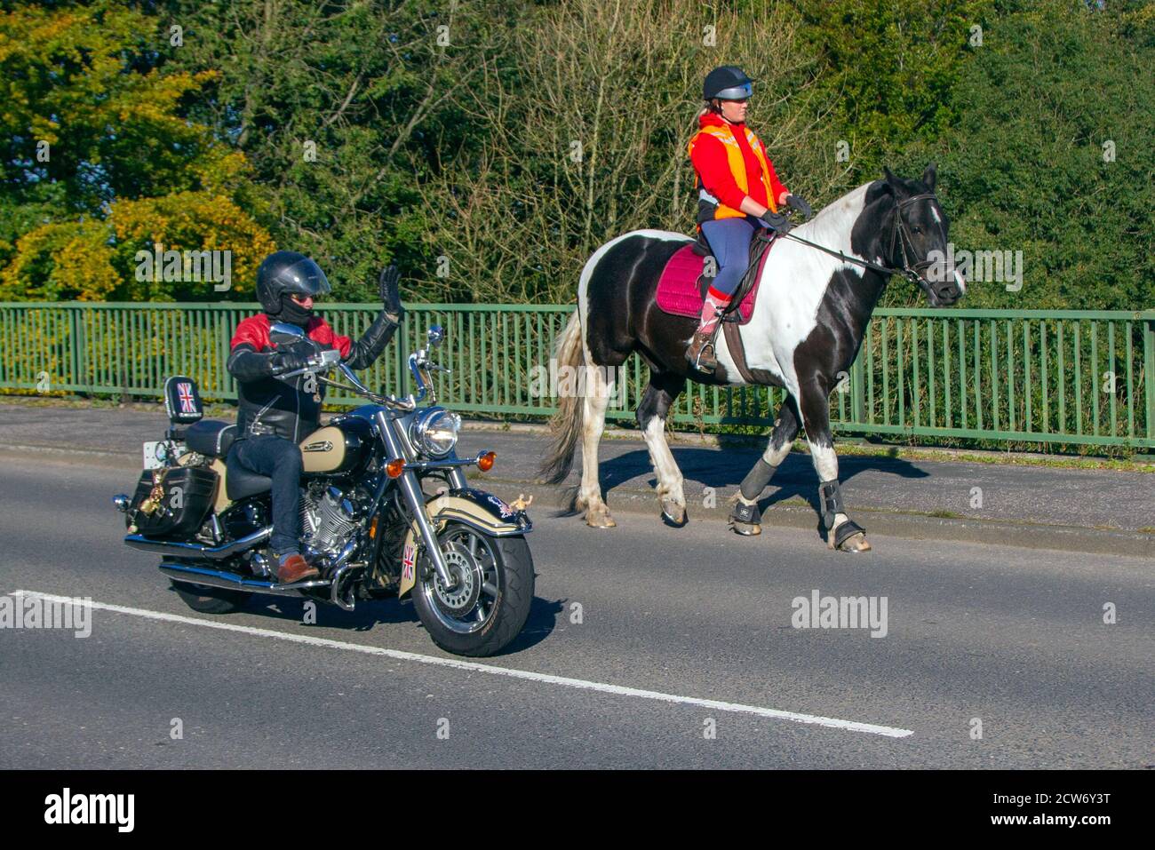 Motociclista che sorpassa i cavalli; cavaliere che indossa abiti arancioni a bordo strada come classici pass motociclistici d'epoca, traffico di animali a Manchester, Regno Unito Foto Stock