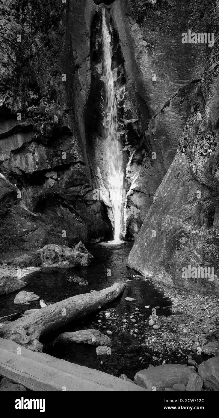 Cascata bianca e nera nella foresta Foto Stock