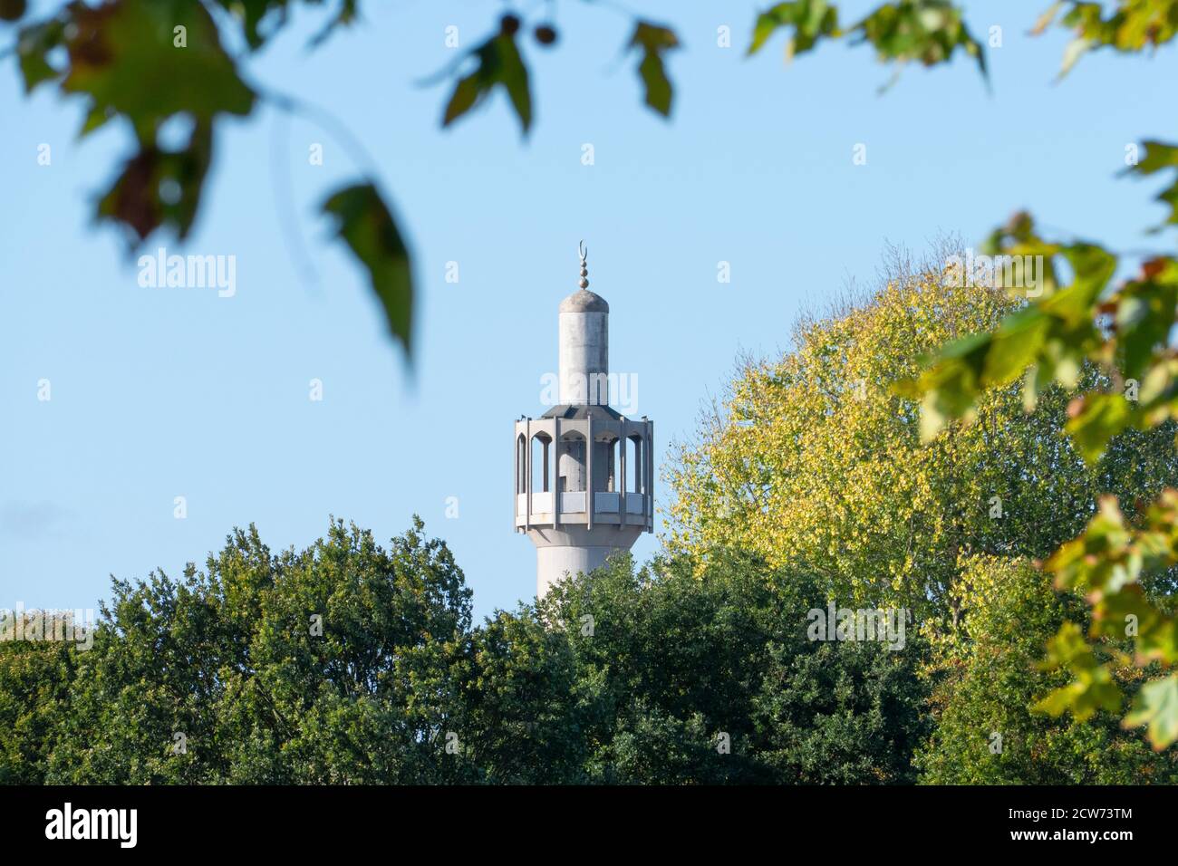 La moschea centrale di Londra o la torre della moschea del Regent's Park emerge sopra la linea degli alberi a Regents Park a Londra, Inghilterra. È un luogo centrale di w islamico Foto Stock