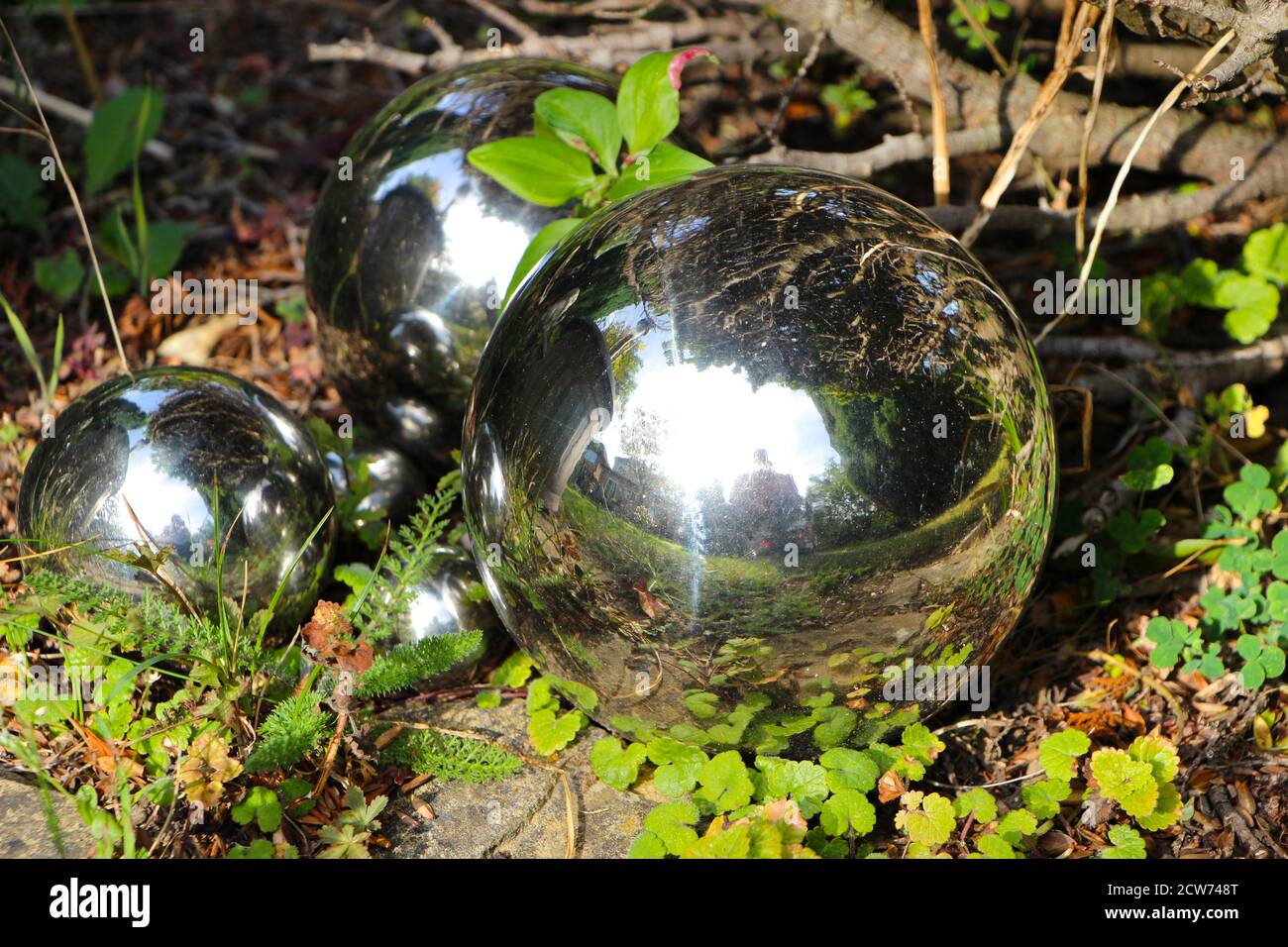 Foto di un primo piano di palle decorative in argento che riflettono la luce del sole in un giardino all'inizio dell'autunno Londra Inghilterra Regno Unito Foto Stock