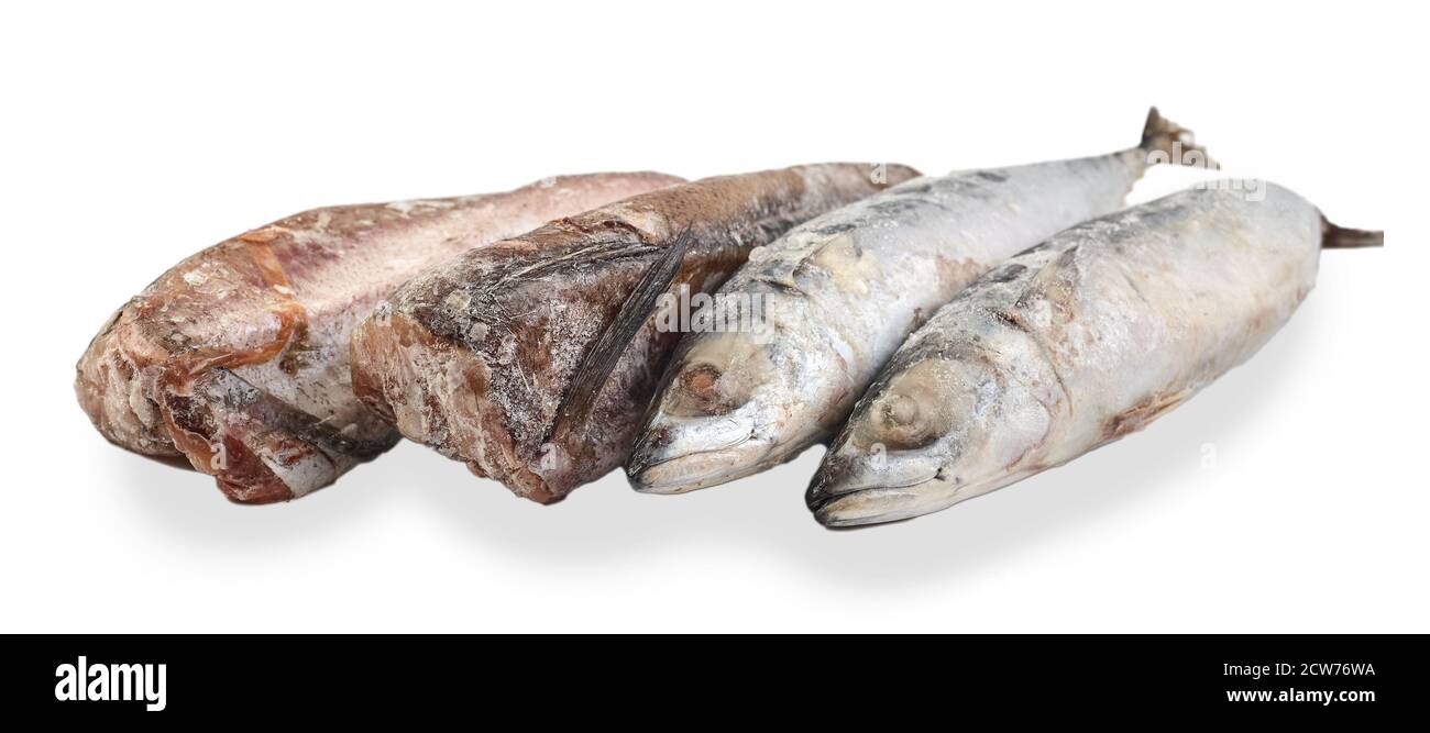 Sgombro congelato e nasello isolato su sfondo bianco. Assortimento di pesce surgelato. Gruppo di carcasse di pesce. Vista laterale. Foto Stock
