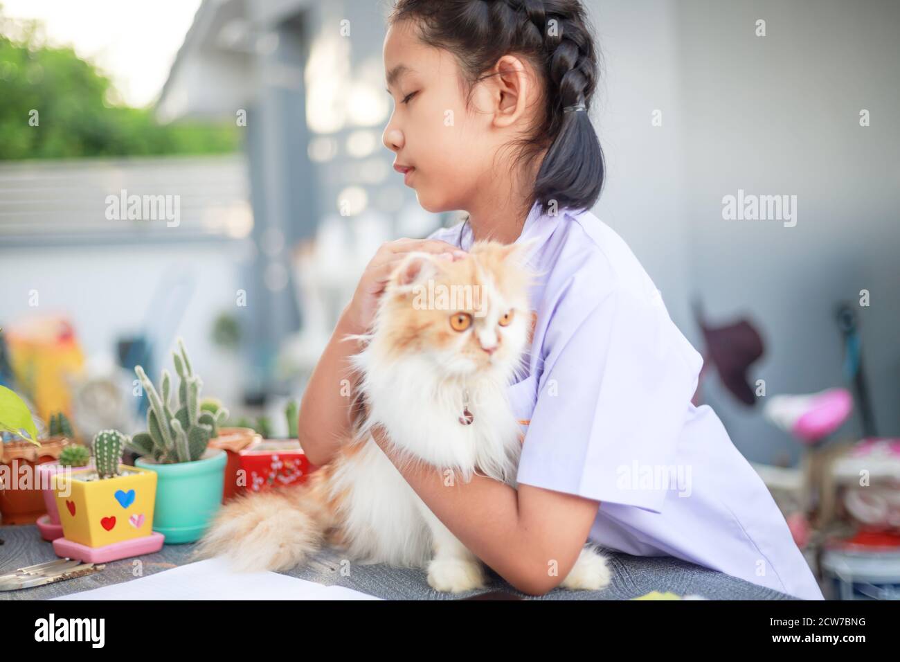 Ritratto di una bambina asiatica in uniforme studentesca thailandese sta abbracciando il suo gatto persiano con felicità, selezionare fuoco profondità di campo poco profonda Foto Stock