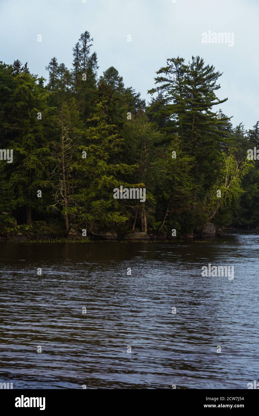 Un lago fiancheggiato da alberi in una giornata buia a Lake Placid, NY Foto Stock