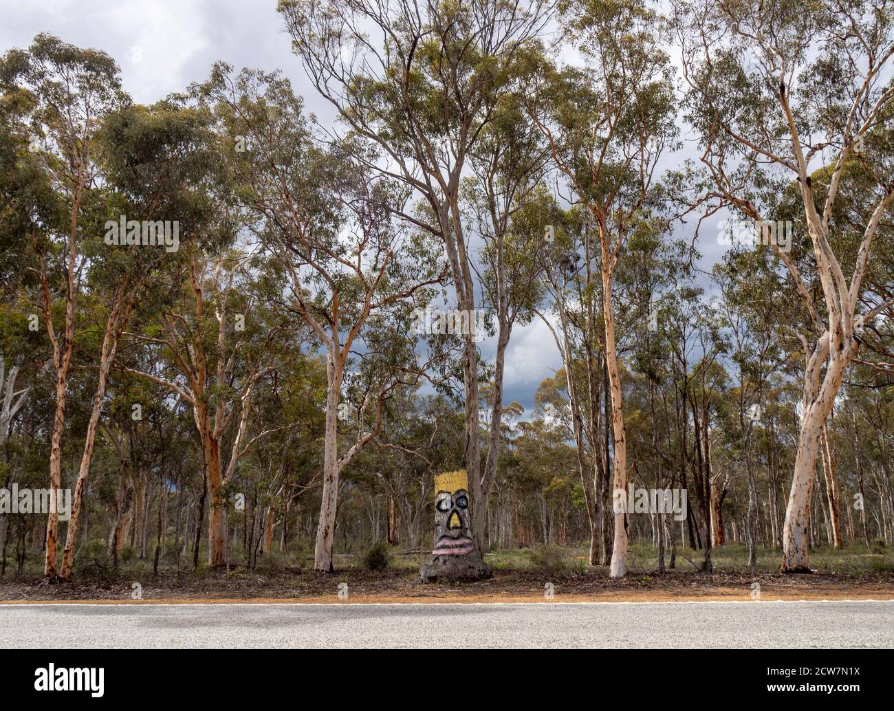 Faccia dipinta su un tronco d'albero vicino al Grande Southern Highway York, Australia occidentale Foto Stock