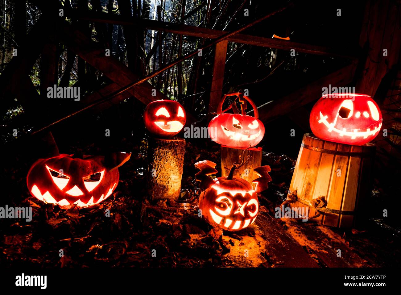 Scary zucche di Halloween con occhi ardenti dentro a sfondo nero Foto Stock