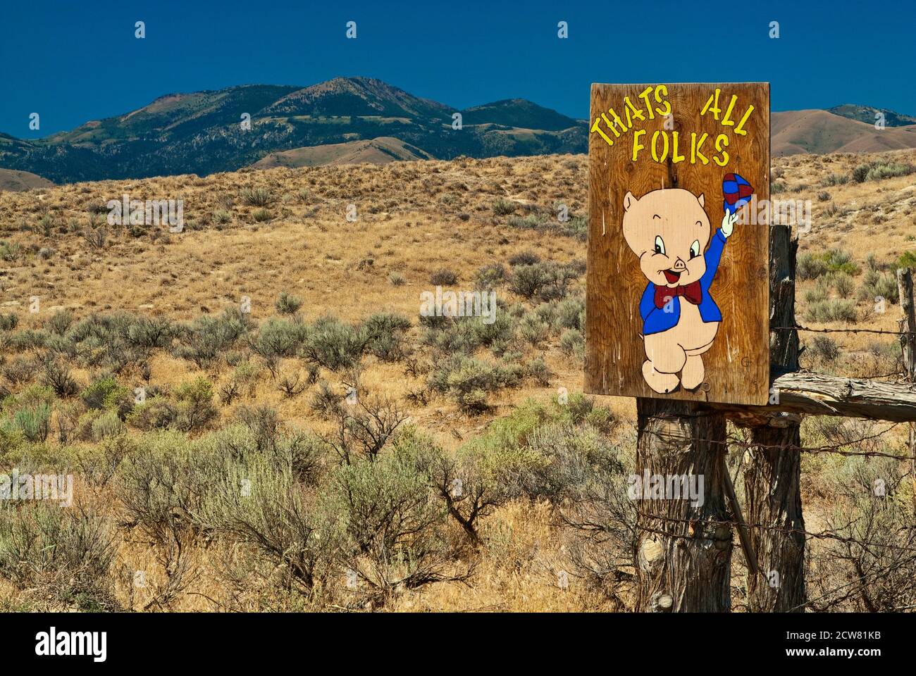 Porky Pig da Looney Tunes cartoni animati, segno in shrubland al ranch in Owyhee Mountains, alta regione del deserto, Idaho, Stati Uniti Foto Stock
