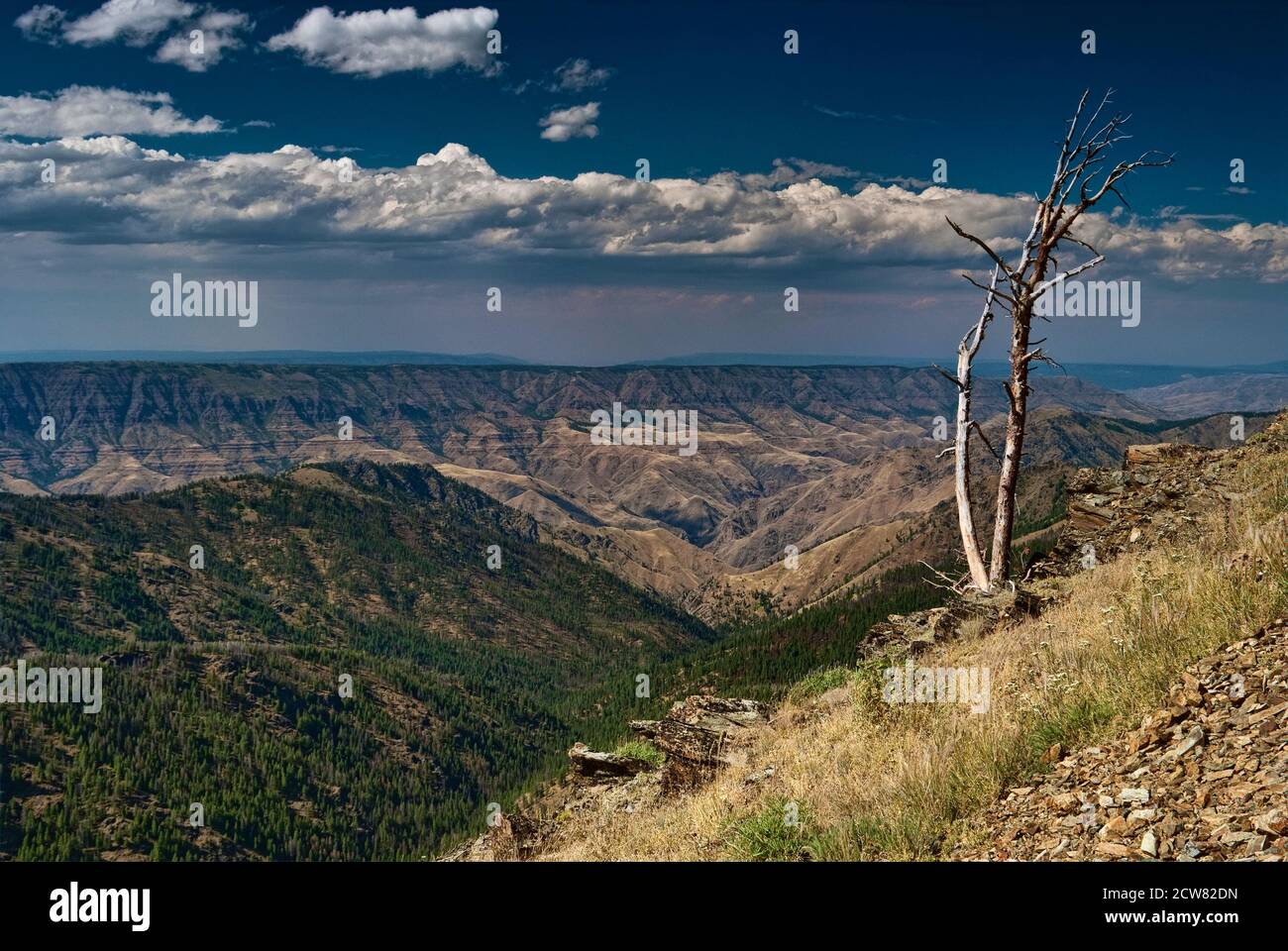 Summit Ridge sopra Hells Canyon visto da Heavens Gate Lookout in Seven Devils Mountains, Idaho, Stati Uniti Foto Stock