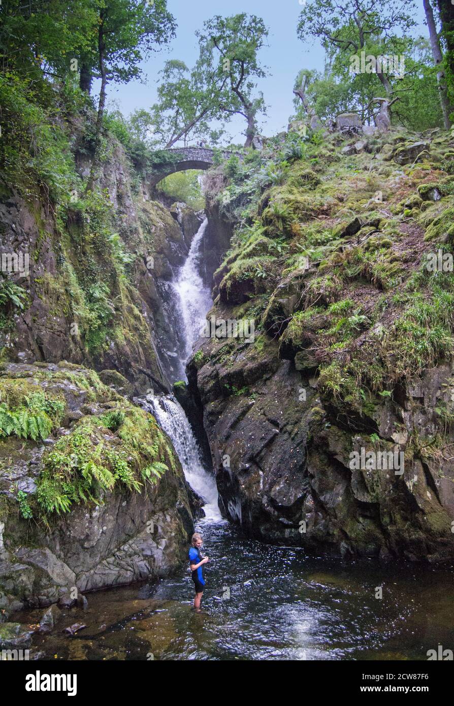 Aira Force, cascata vicino a Pooley Bridge, Cumbria Foto Stock