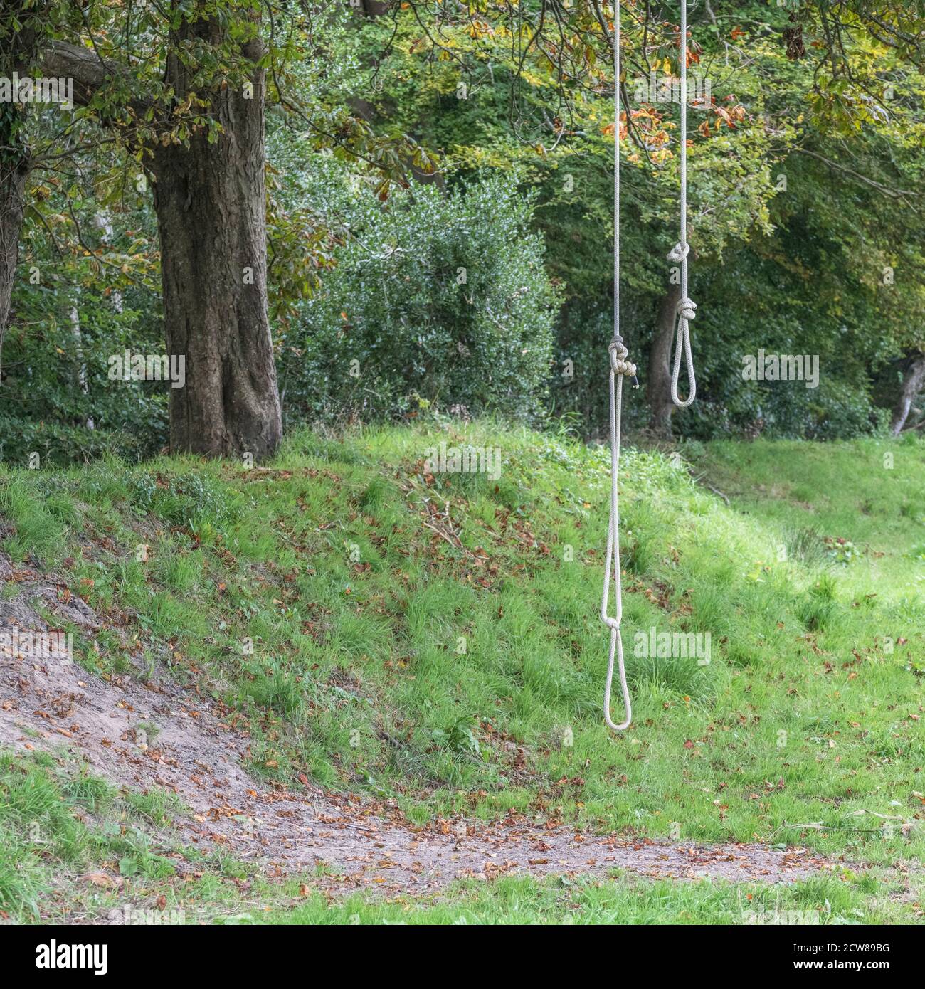 Due altalene di corda per bambini appese a un tosse di alberi. Per i ricordi dell'infanzia, attività all'aperto per i bambini, oscillazione dell'albero, pendolo oscillante. Foto Stock