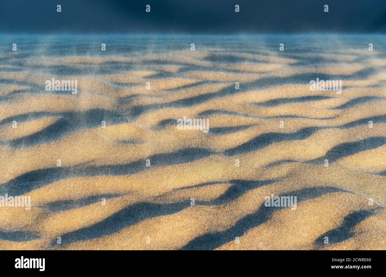 Vento nelle dune di sabbia di Huacachina al tramonto, Perù. Foto Stock