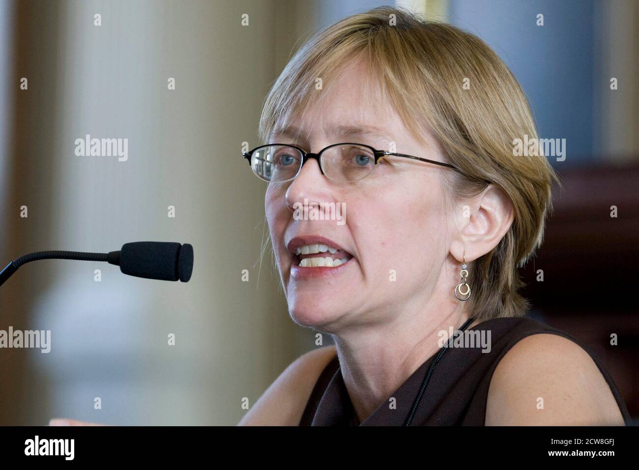Austin, Texas 2 novembre 2008: L'autore Liza Mundy parla del suo ultimo libro, una biografia di Michele Obama, al Texas Book Festival. ©Bob Daemmrich/ Foto Stock
