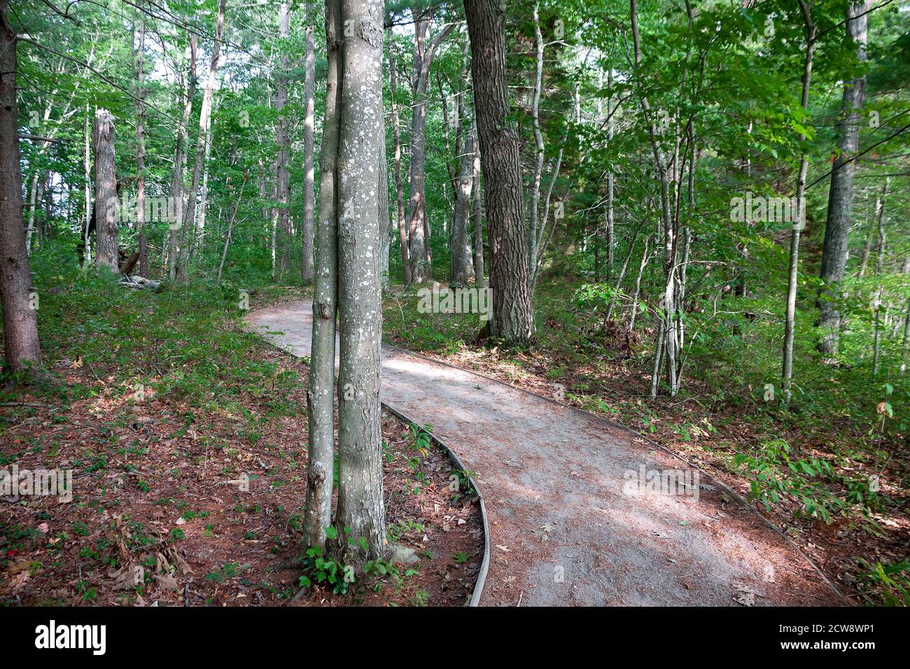 Percorso naturalistico nel Rachel Carson National Wildlife Refuge di Wells, Maine. Foto Stock
