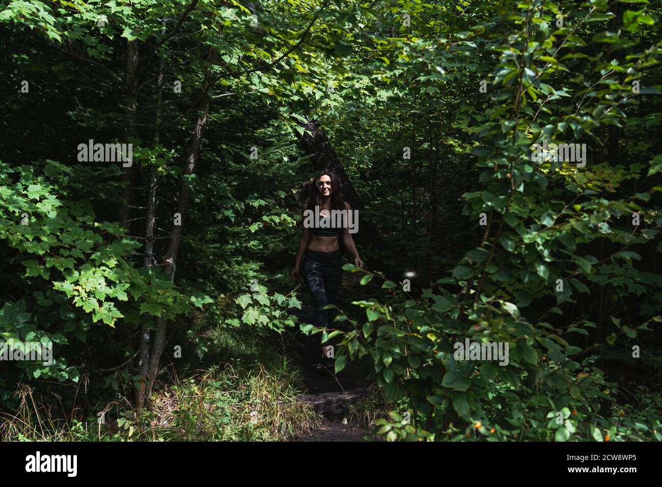 Una giovane donna che camminano su un sentiero nel Adirondacks Foto Stock