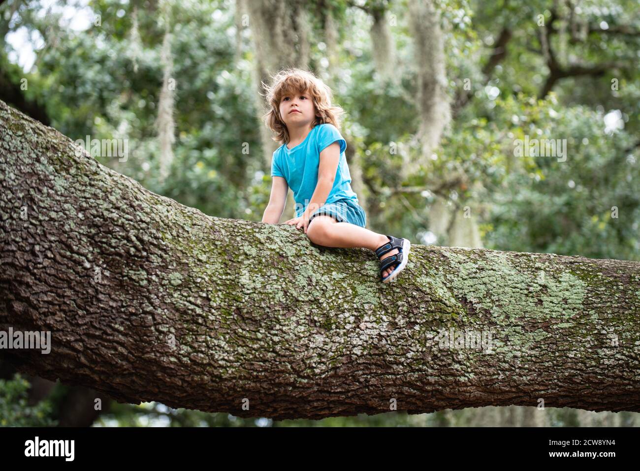 Bambino piccolo ragazzo cercando di salire un albero. Foto Stock