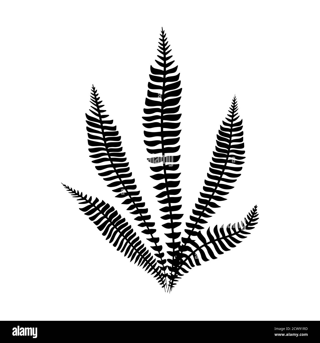 Vettore delle foglie di felce nere. Isolato nero su bianco. Foglia tropicale minimalista. Trend contorni botanici. Illustrazione vettoriale Illustrazione Vettoriale