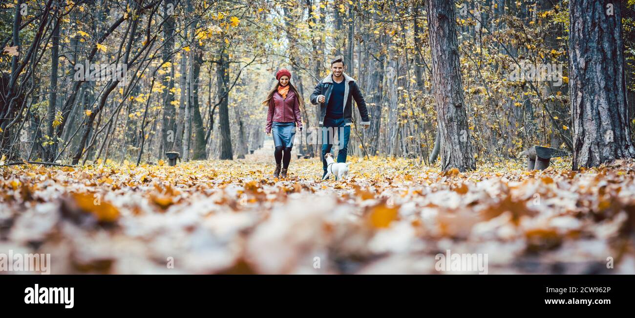 Coppia giovane a piedi con il loro cane in un colorato foresta di autunno Foto Stock