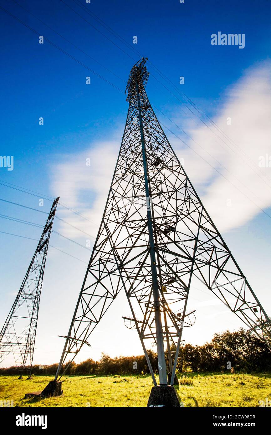 Tralicci elettrici in un ambiente rurale con un cielo blu. Foto Stock