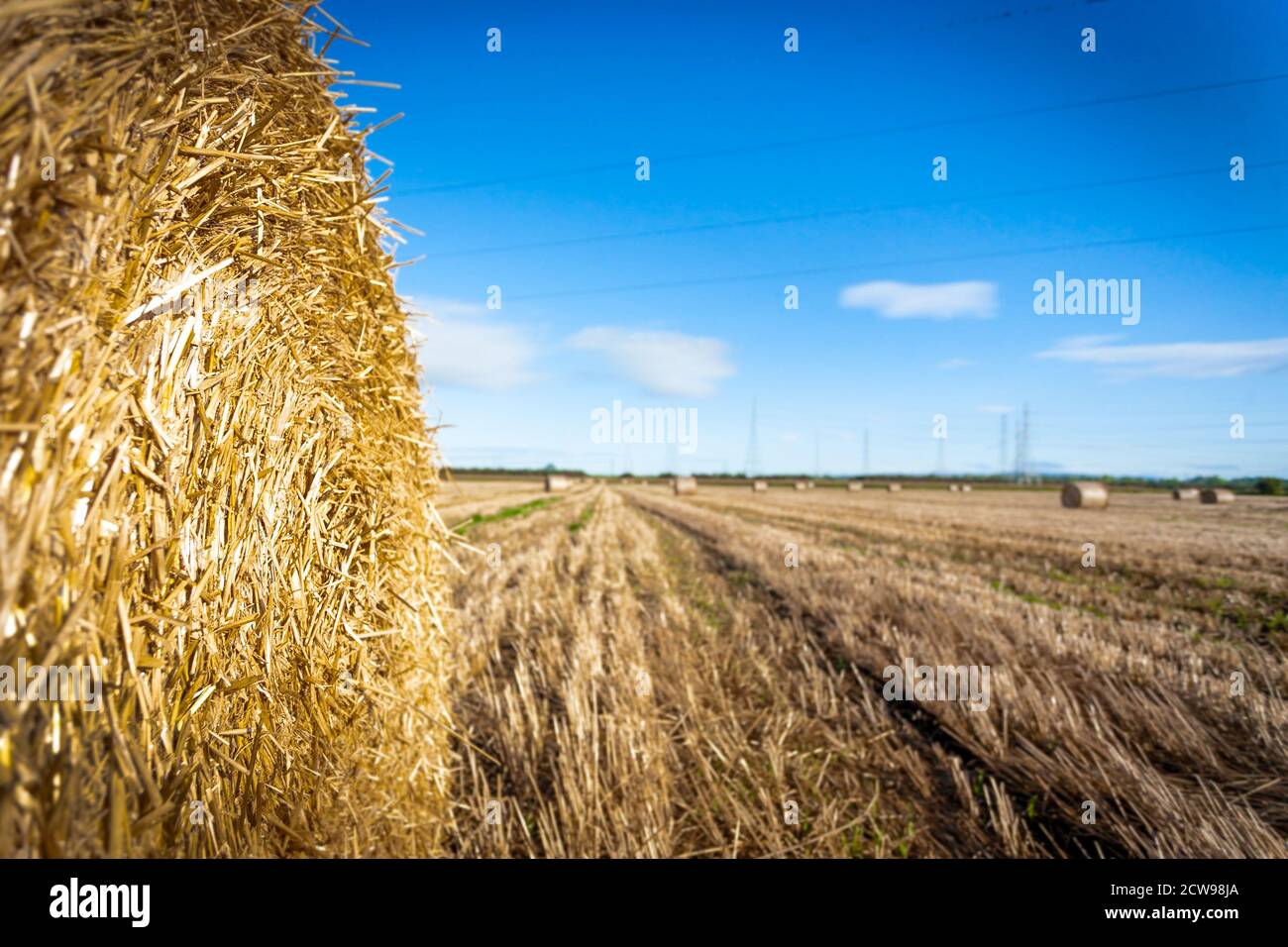 Campi di balle di paglia pronti per essere raccolti dopo l'imballaggio. Foto Stock