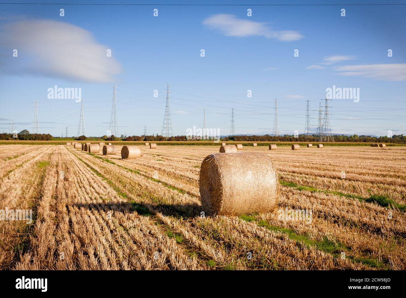 Campi di balle di paglia pronti per essere raccolti dopo l'imballaggio. Foto Stock