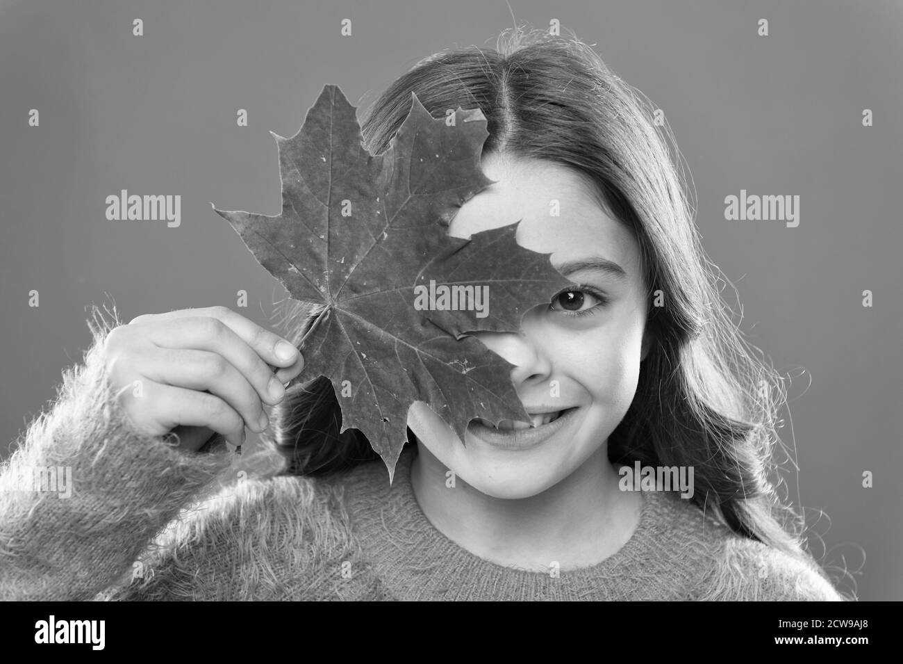 Celebrare l'autunno. Come sorprendente è l'autunno. Piccola ragazza divertirsi con foglie di autunno. Bambino tenere maple leaf cambiando colore. Bellezza naturale. Bellezza viso. Dermocosmesi concetto. Felice stagione autunnale. Foto Stock