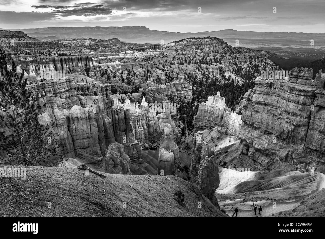Nero e bianco Sunrise Thor's Hammer Sunset Point Hoodoos fotografo Bryce Canyon National Park Utah Foto Stock