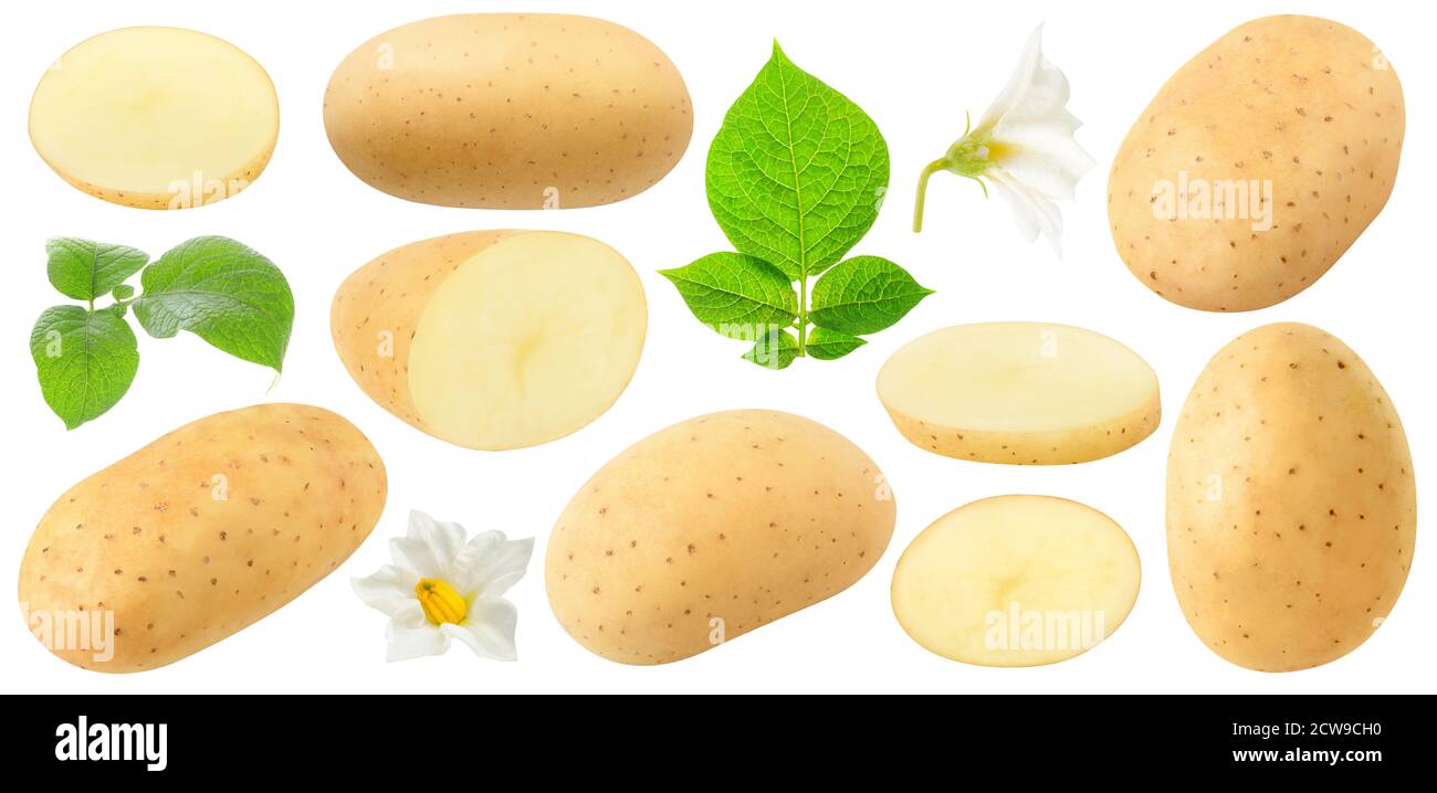Raccolta di patate isolate. Frutti di patate grezzi interi e tagliati, fiori e foglie isolati su sfondo bianco Foto Stock