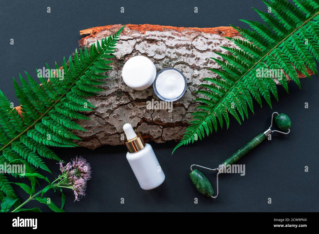 Bottiglia bianca con siero cosmetico e un vaso di crema sulla corteccia di un albero, rullo di faccia, foglie di felce. Concetto di cosmetica naturale. Sfondo nero. Foto Stock