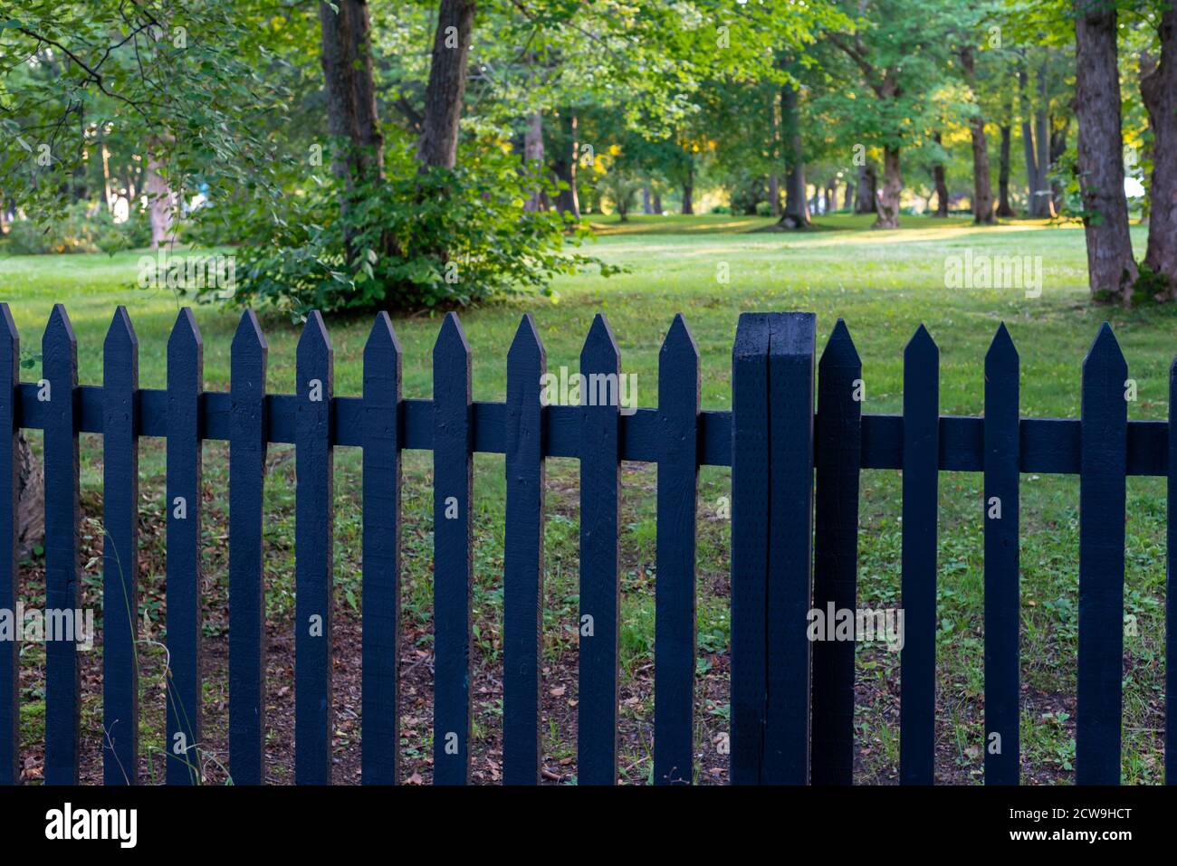 Una recinzione in legno nero con erba verde, grandi alberi e arbusti lussureggianti in un giardino. La scena estiva è vibrante e colorata. Foto Stock