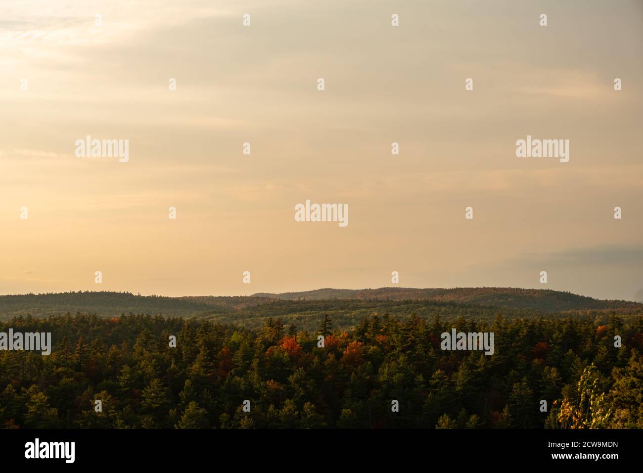 Nella luce della sera, le colline boscose dai colori autunnali sono viste in una vista panoramica e tranquilla con un cielo nuvoloso e pigro sopra. Foto Stock