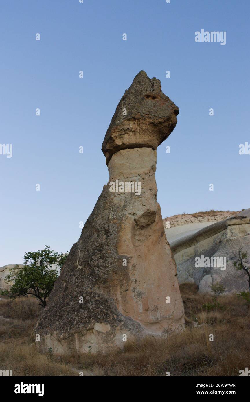 Il famoso paesaggio della Cappadocia: Roccia a forma di gatto. Cappadocia Turchia. Foto Stock