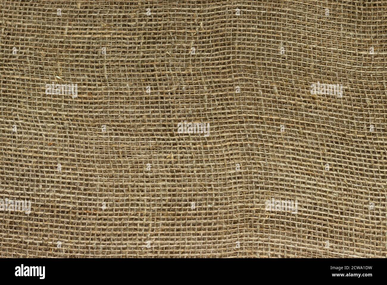 La struttura dei fili di un tessuto di tela di tela naturale si avvicina. Foto Stock