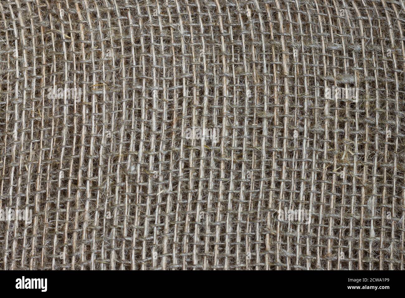 La struttura dei fili di un tessuto di tela di tela naturale si avvicina. Foto Stock
