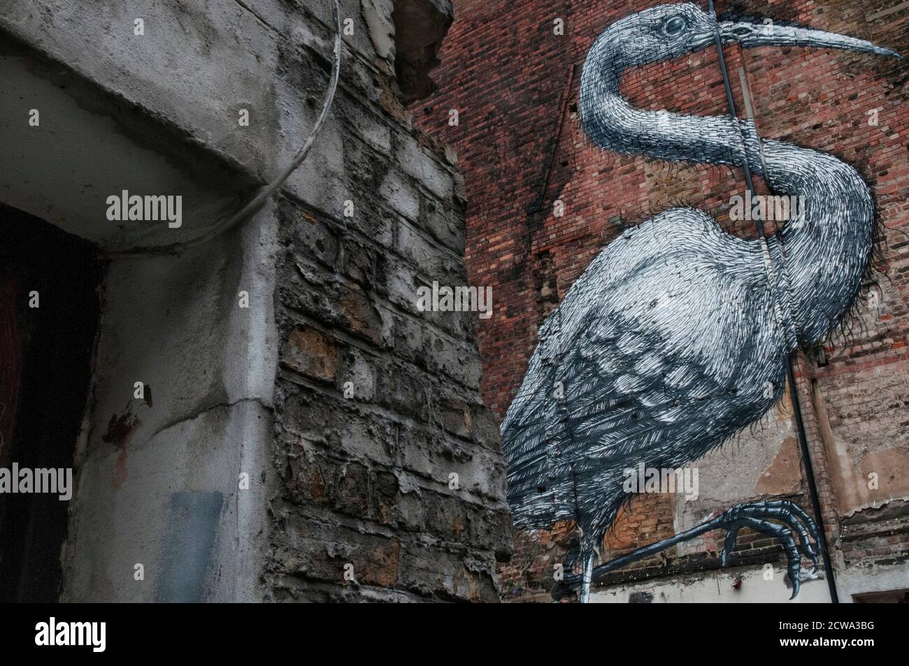 Street Art di Roa di una gru comune su un grande muro di mattoni in Hanbury Street, Londra, Regno Unito Foto Stock